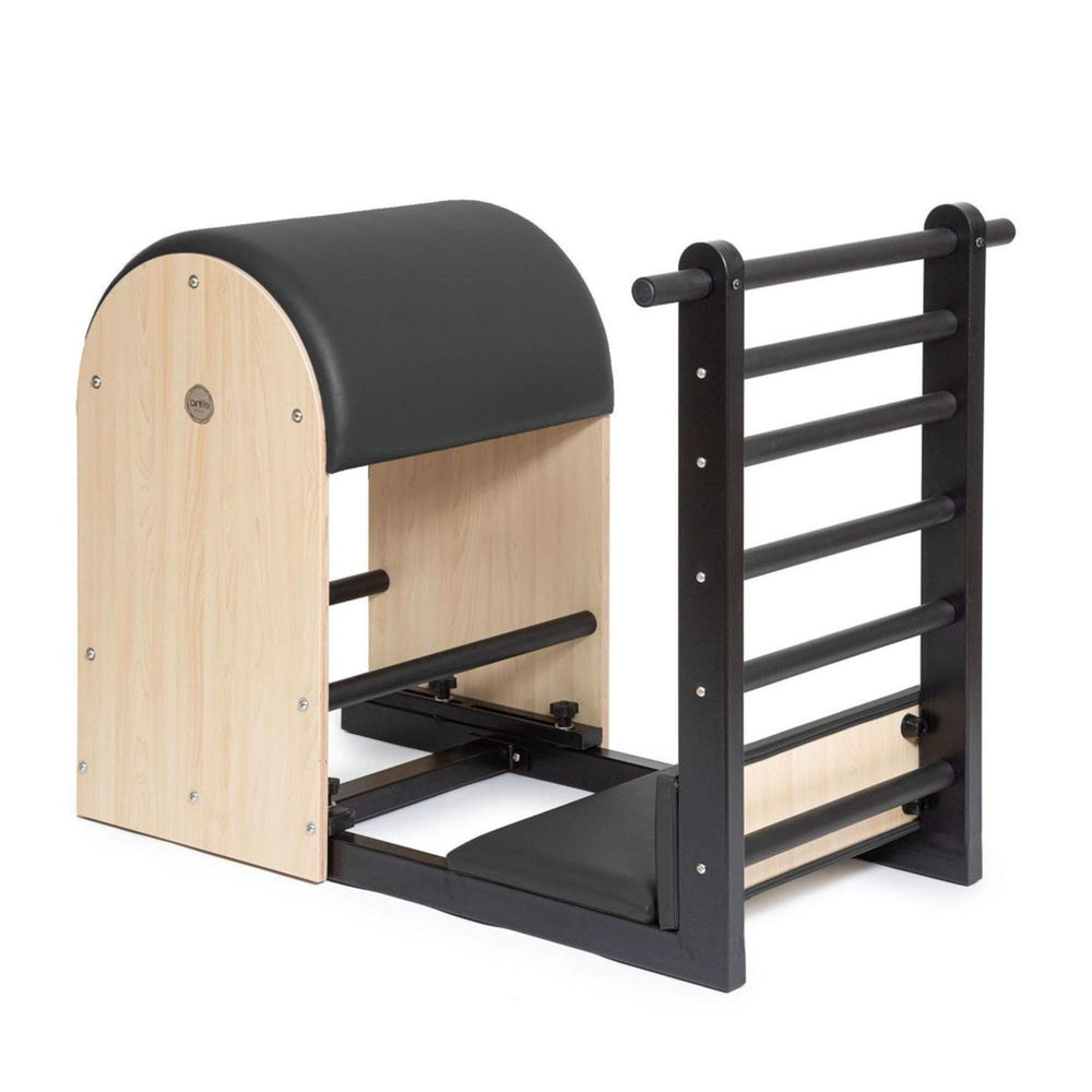 Elina Pilates Ladder Barrel with Steel Elite Model, a Pilates Barrels and Arcs by Elina Pilates available at Dansons Medical