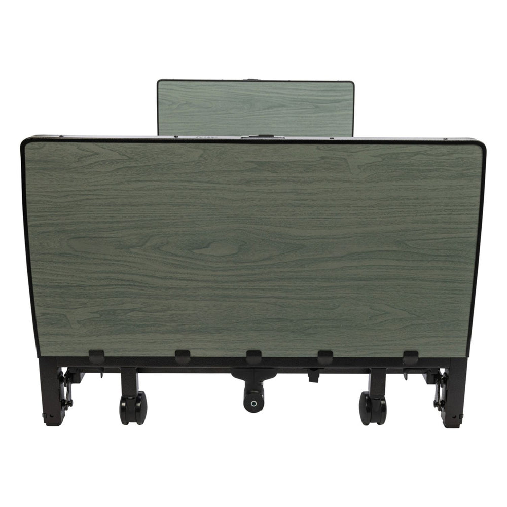 Proactive Medical Altara Full-Electric Low Bed