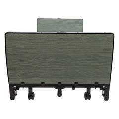 Proactive Medical Altara Full-Electric Low Bed