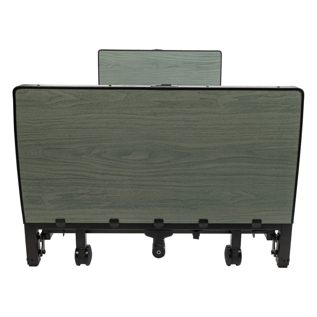 Proactive Medical Altara Full-Electric Low Bed
