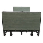 Proactive Medical Altara Full-Electric Low Bed